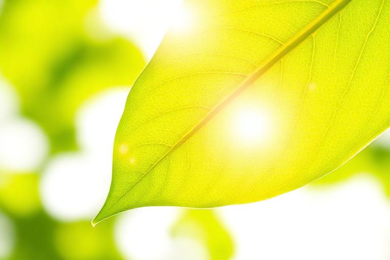 Zero Energy, Zero VOCs